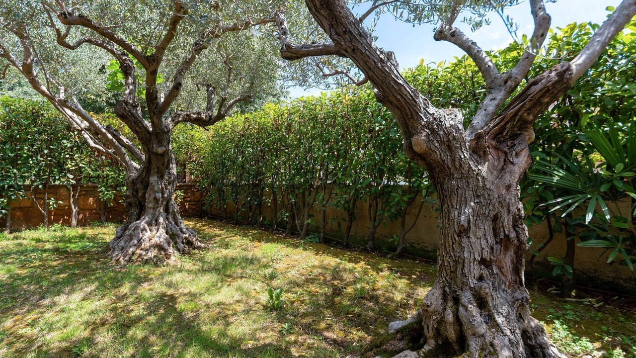 Photo of Outdoor in Rosini