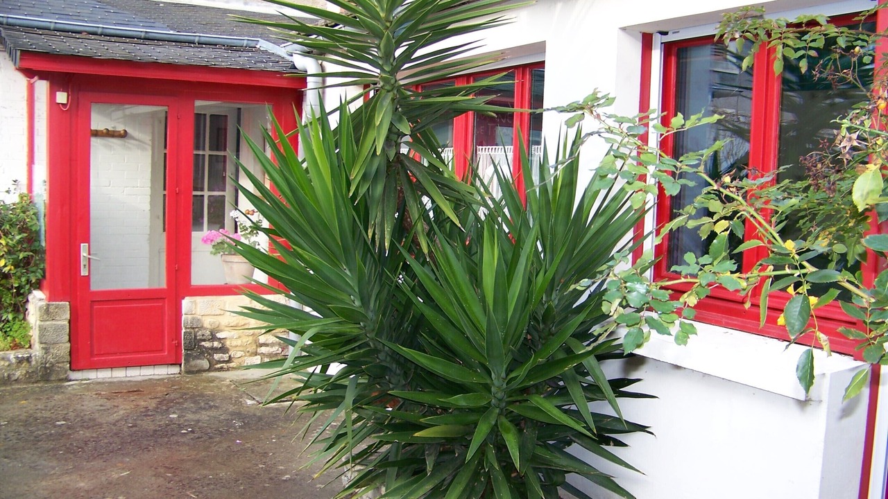 Photo of Outdoor in Luc-sur-Mer