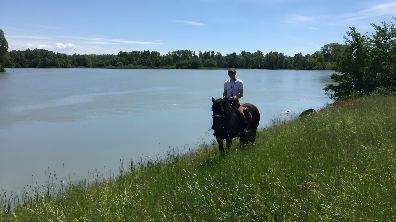 Photo of Others in Groslee-Saint-Benoit