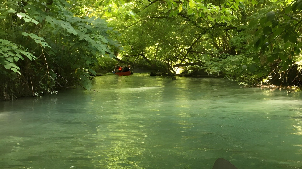 Photo of Others in Groslee-Saint-Benoit