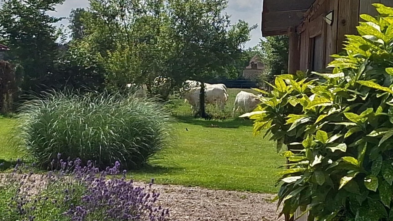 Photo of Outdoor in Fresne Cauverville