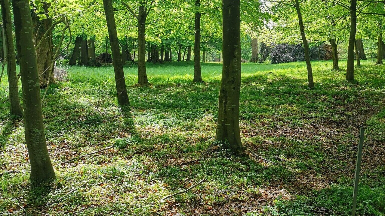 Photo of Others in Derchigny