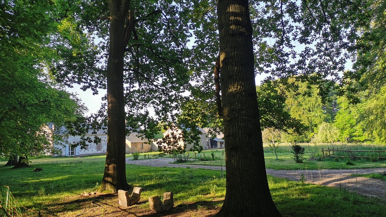 Photo of Outdoor in Derchigny