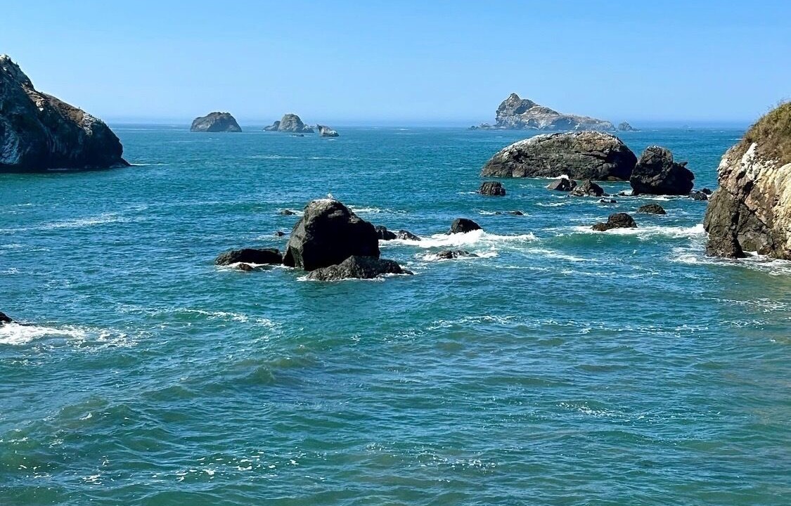 Photo of Others in Brookings