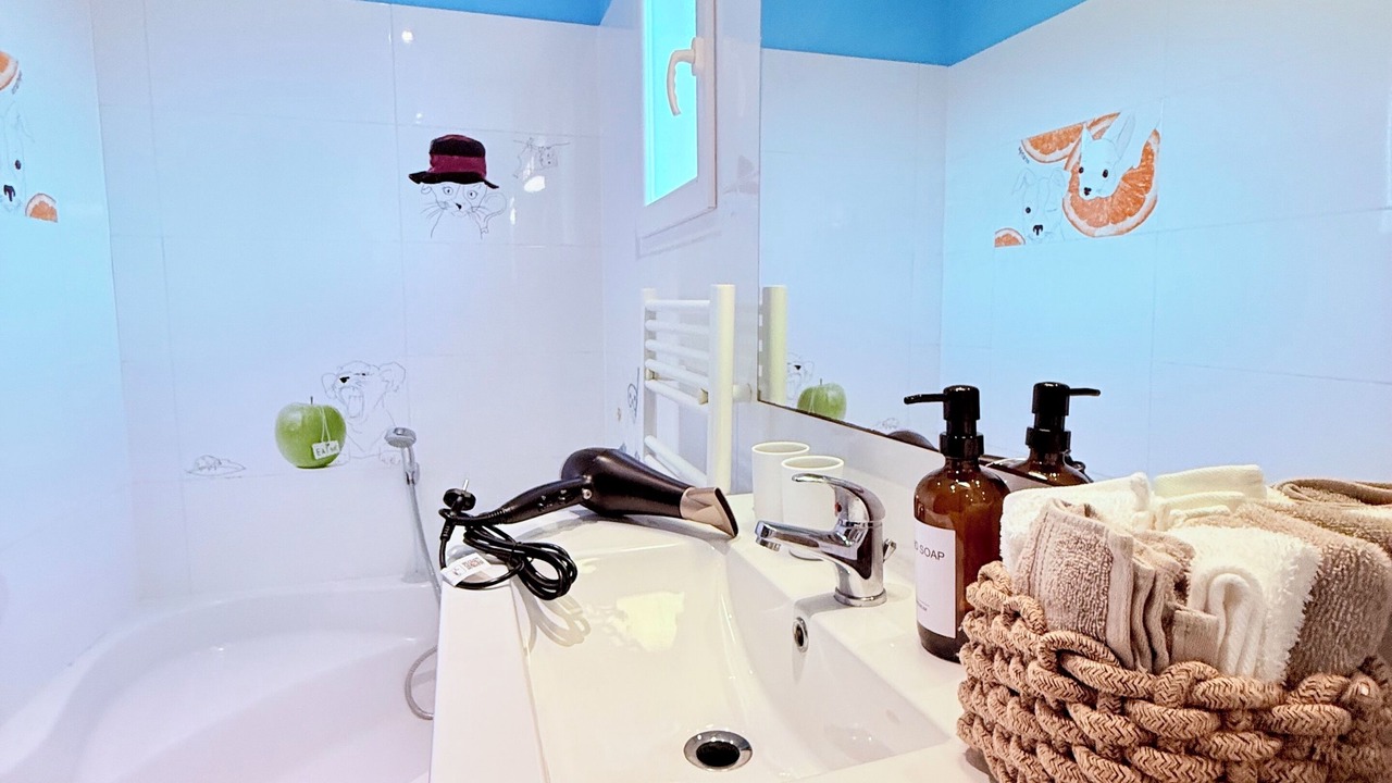 Photo of Bathroom in Tournefeuille