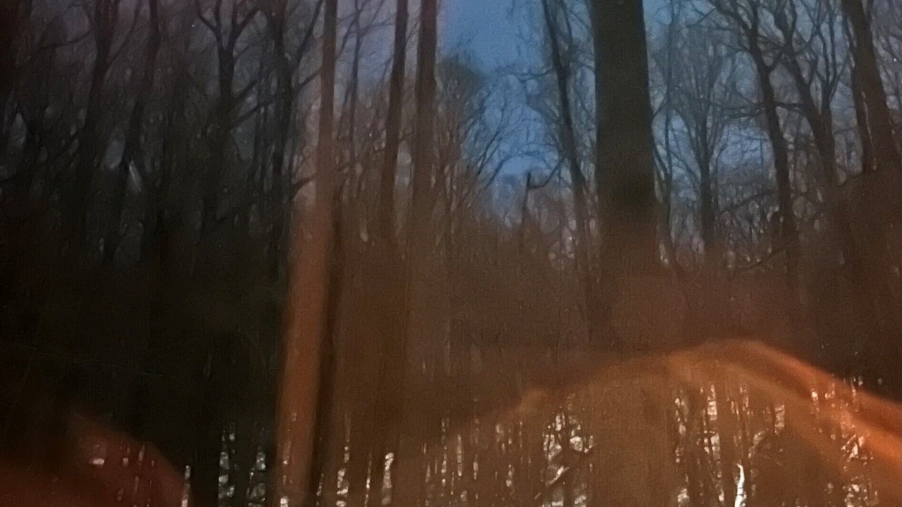 Photo of Others in Hendersonville