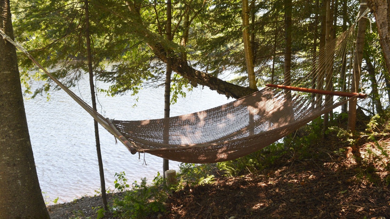 Photo of Others in Mauricie