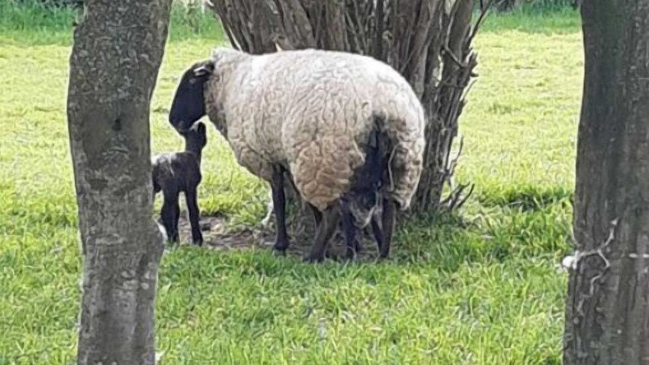 Photo of Others in Morville-sur-Andelle