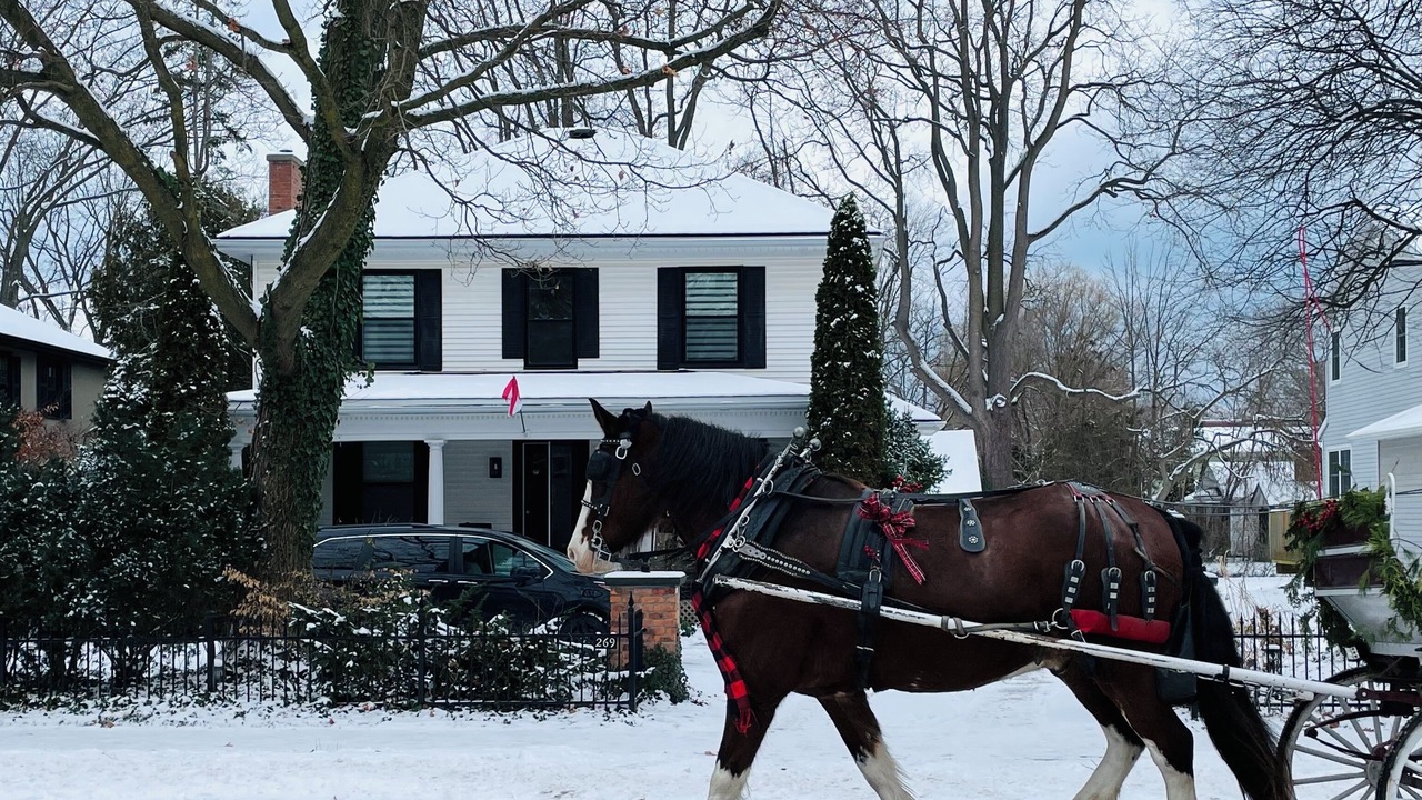 Photo of Others in Old Town Historic District