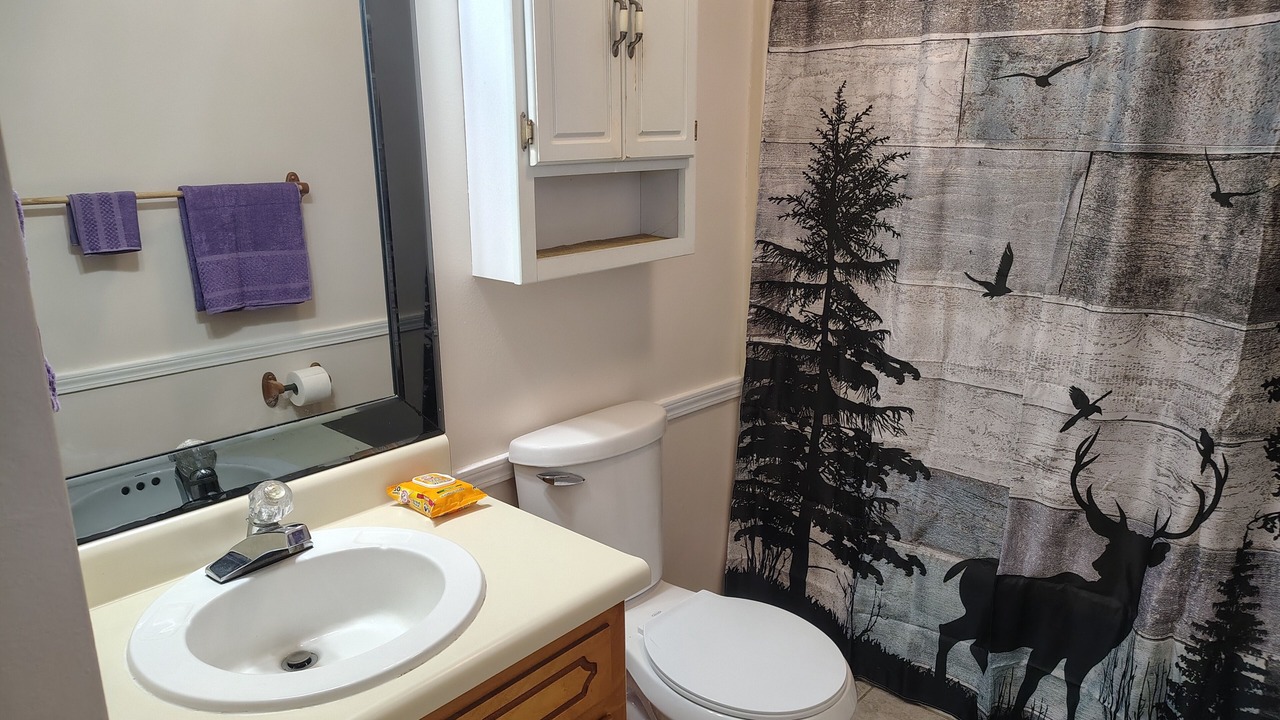 Photo of Bathroom in Vilonia