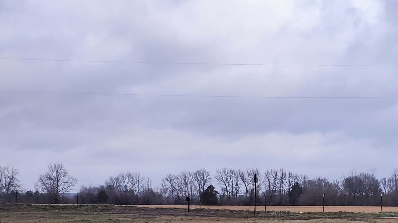 Photo of Others in Vilonia