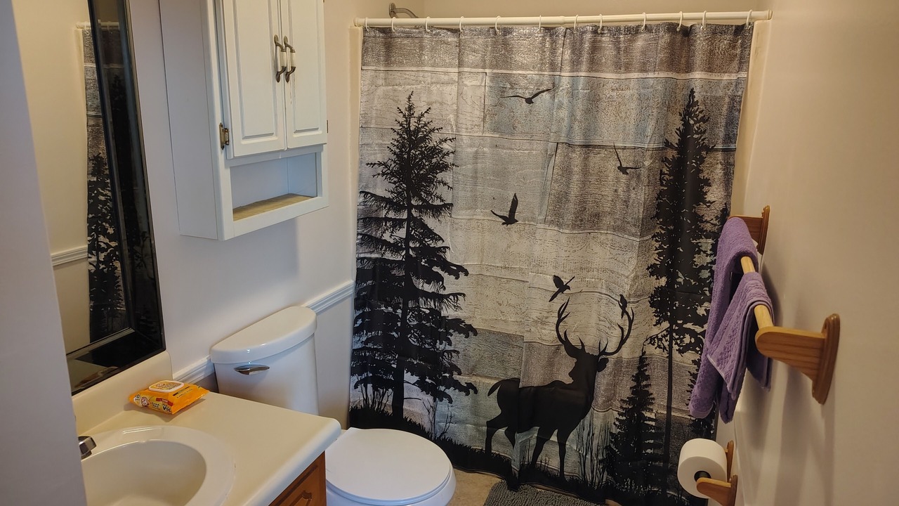 Photo of Bathroom in Vilonia