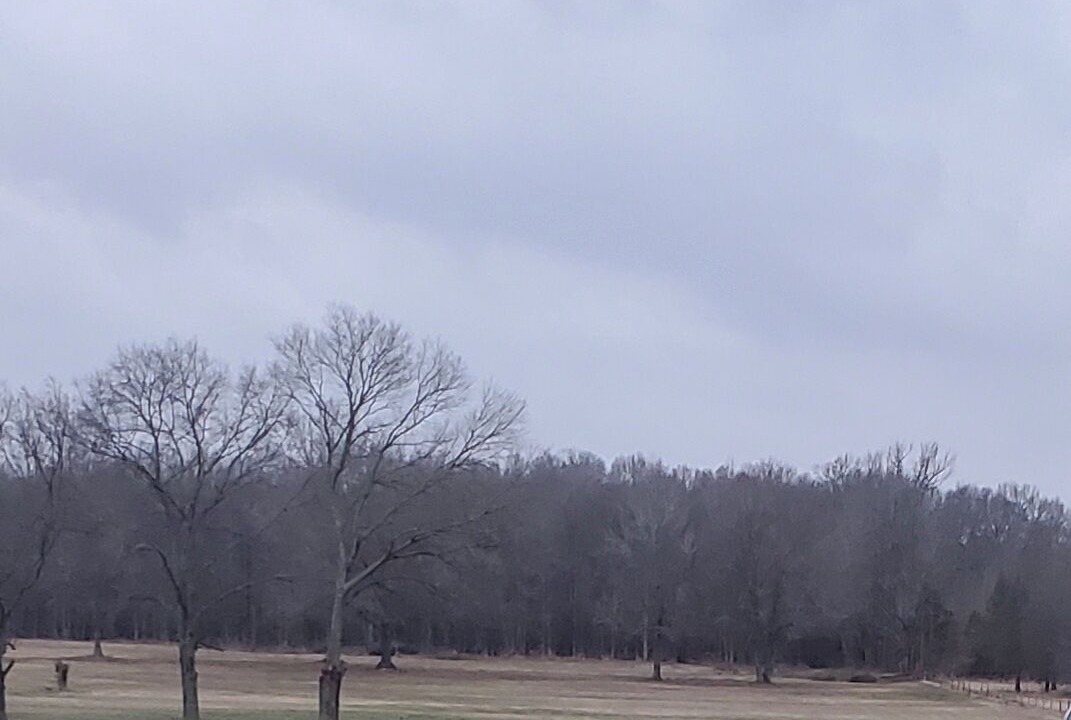 Photo of Others in Vilonia