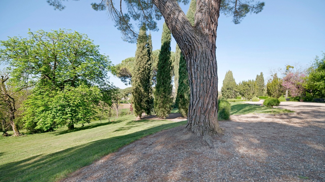 Photo of Outdoor in Verfeil