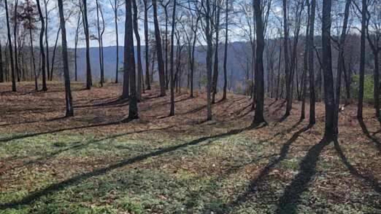 Photo of Others in Albertville