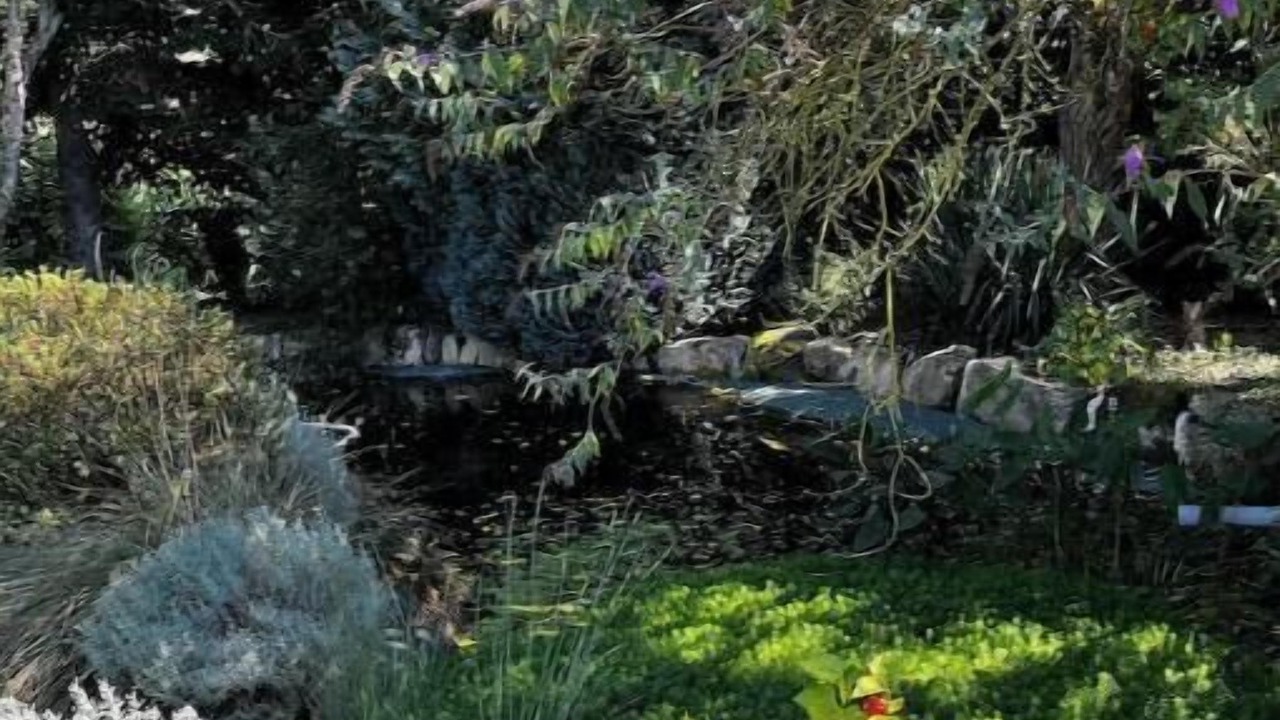 Photo of Outdoor in Capelle-les-Grands