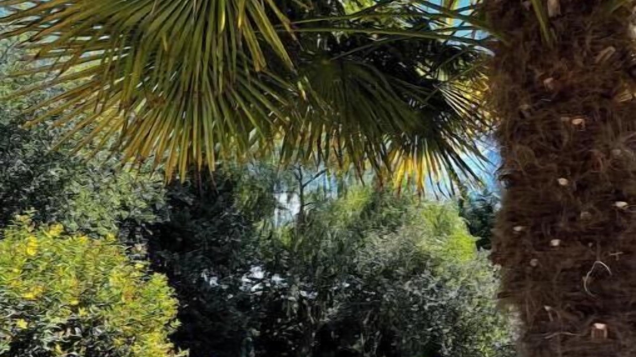 Photo of Outdoor in Capelle-les-Grands