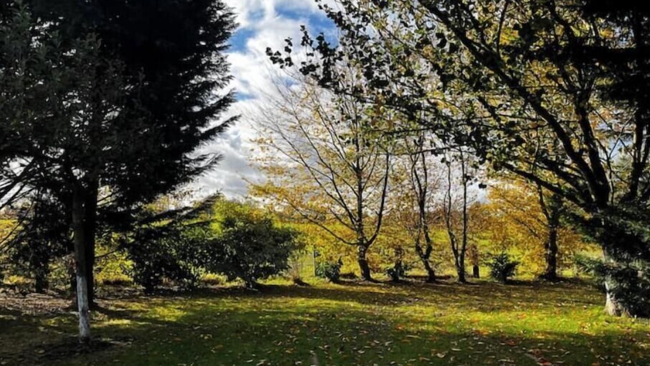 Photo of Others in Capelle-les-Grands