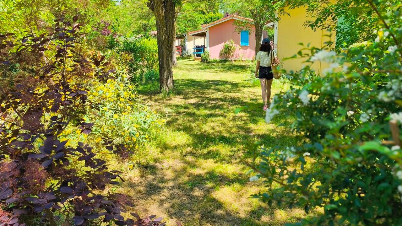 Photo of Outdoor in Montlaur