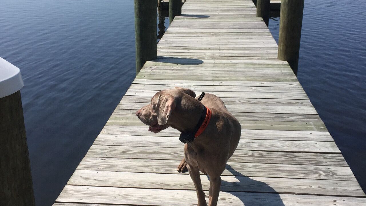 Photo of Others in Chestertown