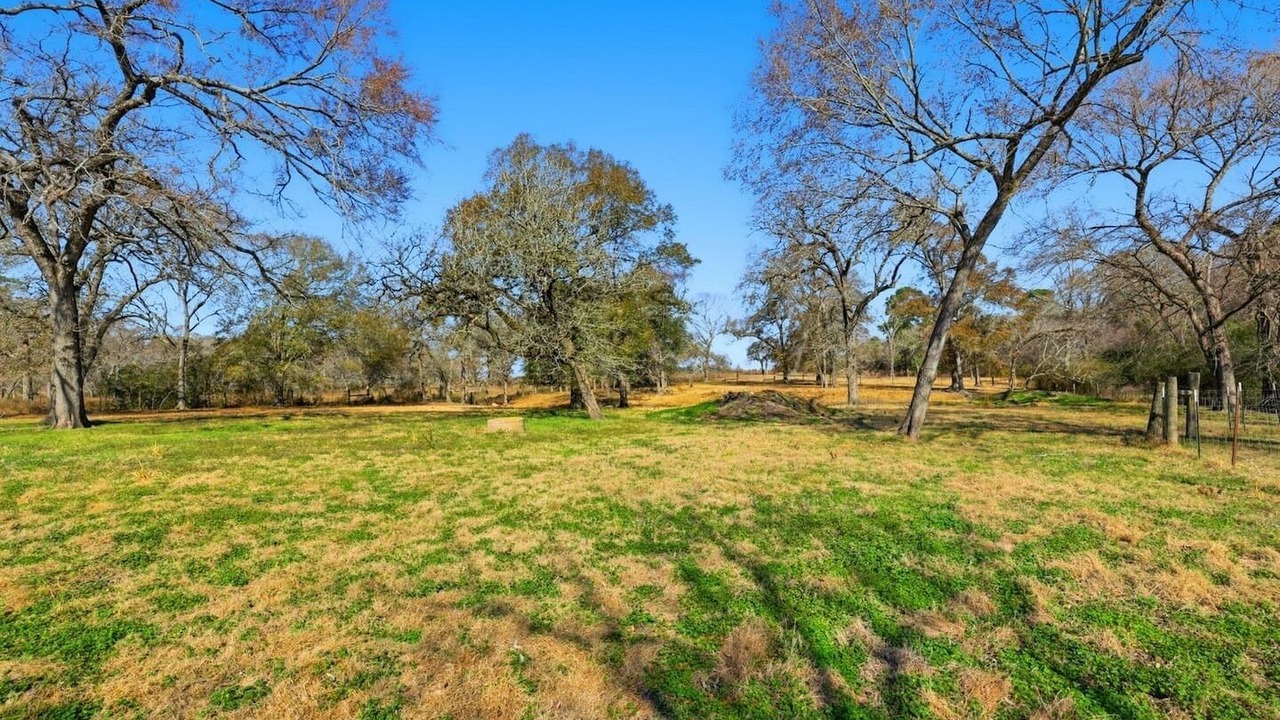 Photo of Others in Waller