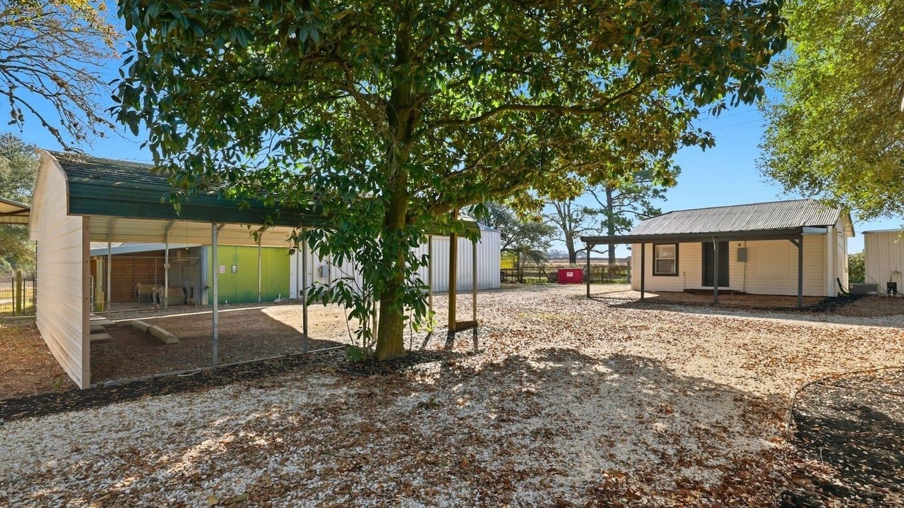 Photo of Outdoor in Waller