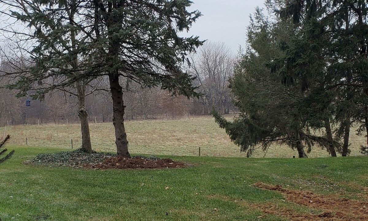 Photo of Outdoor in Witmer