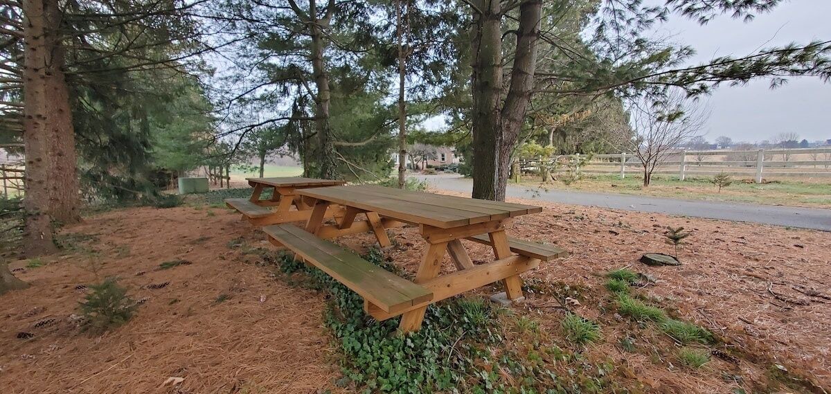 Photo of Outdoor in Witmer