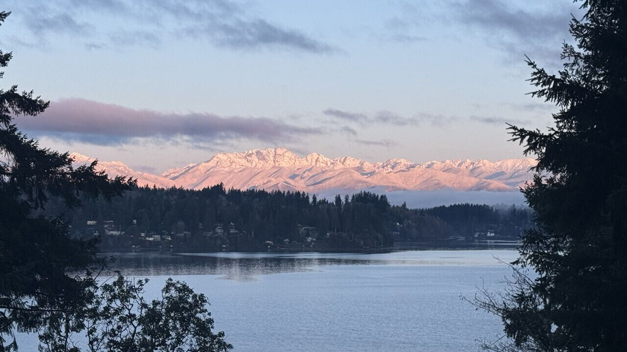 Photo of Others in Bainbridge Island
