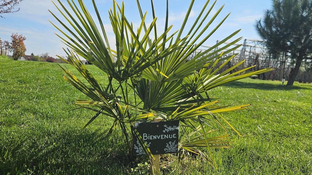 Photo of Outdoor in Parcay-les-Pins