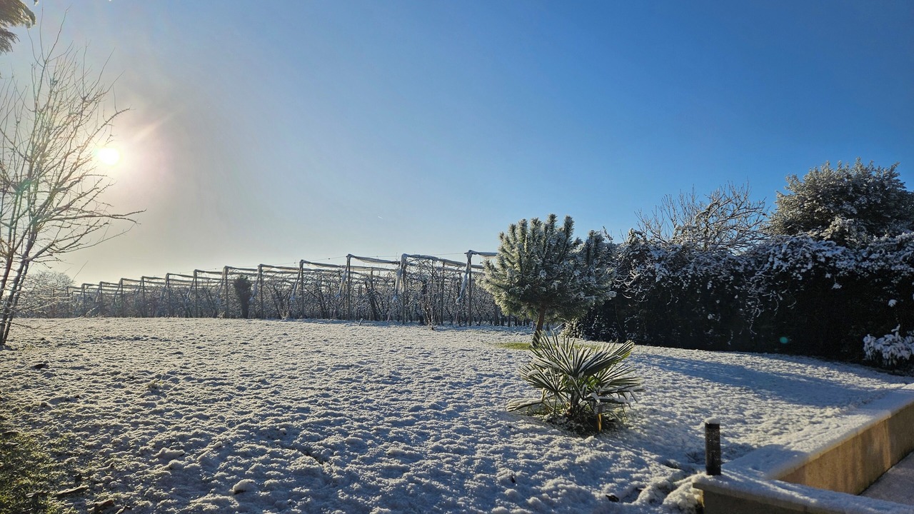 Photo of Outdoor in Parcay-les-Pins