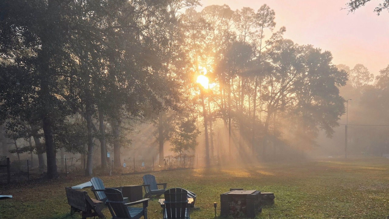Photo of Outdoor in Eden