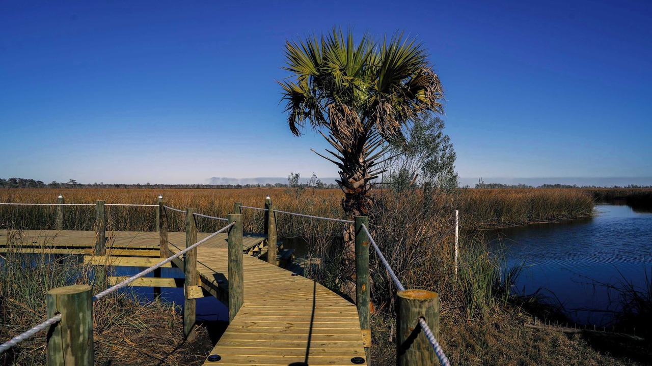 Photo of Others in Apalachicola