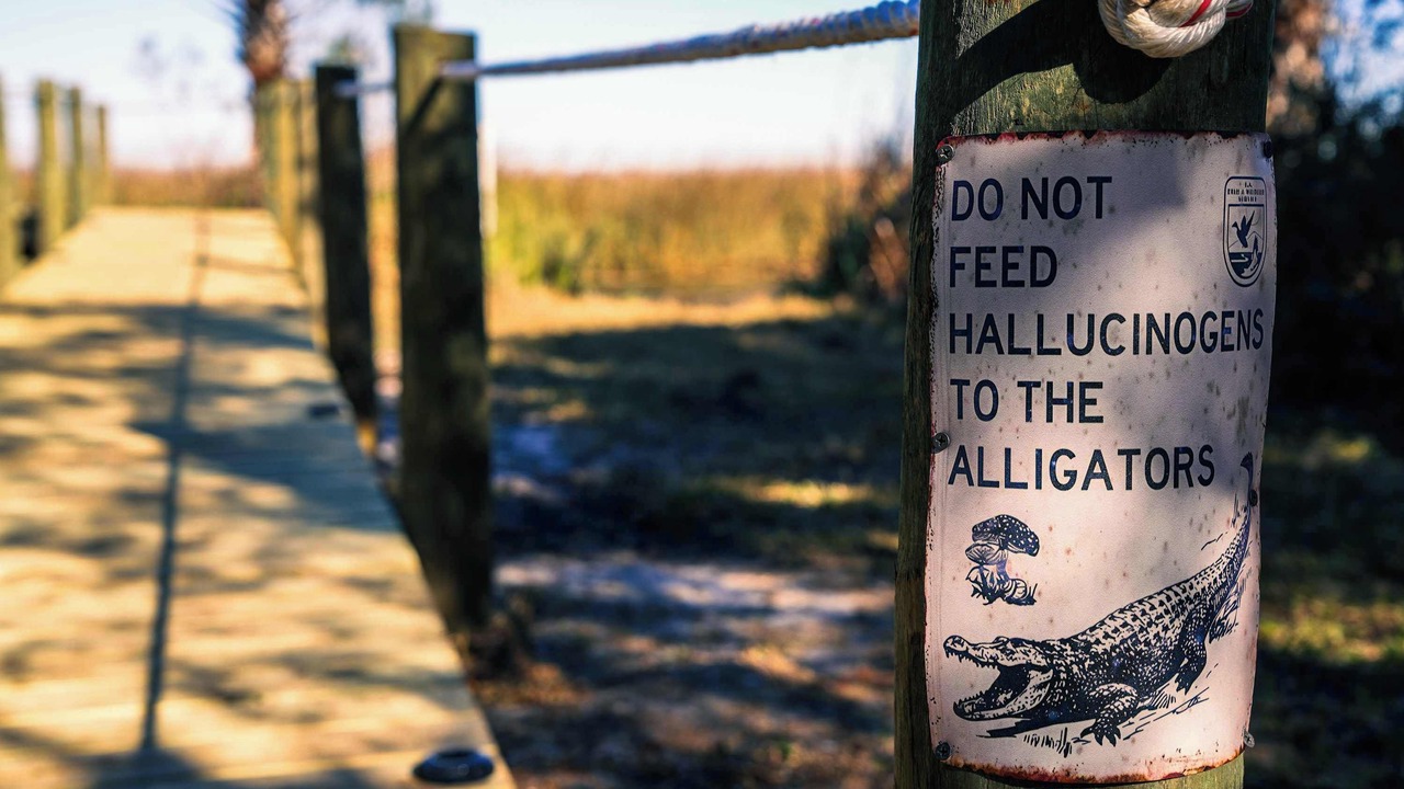 Photo of Others in Apalachicola