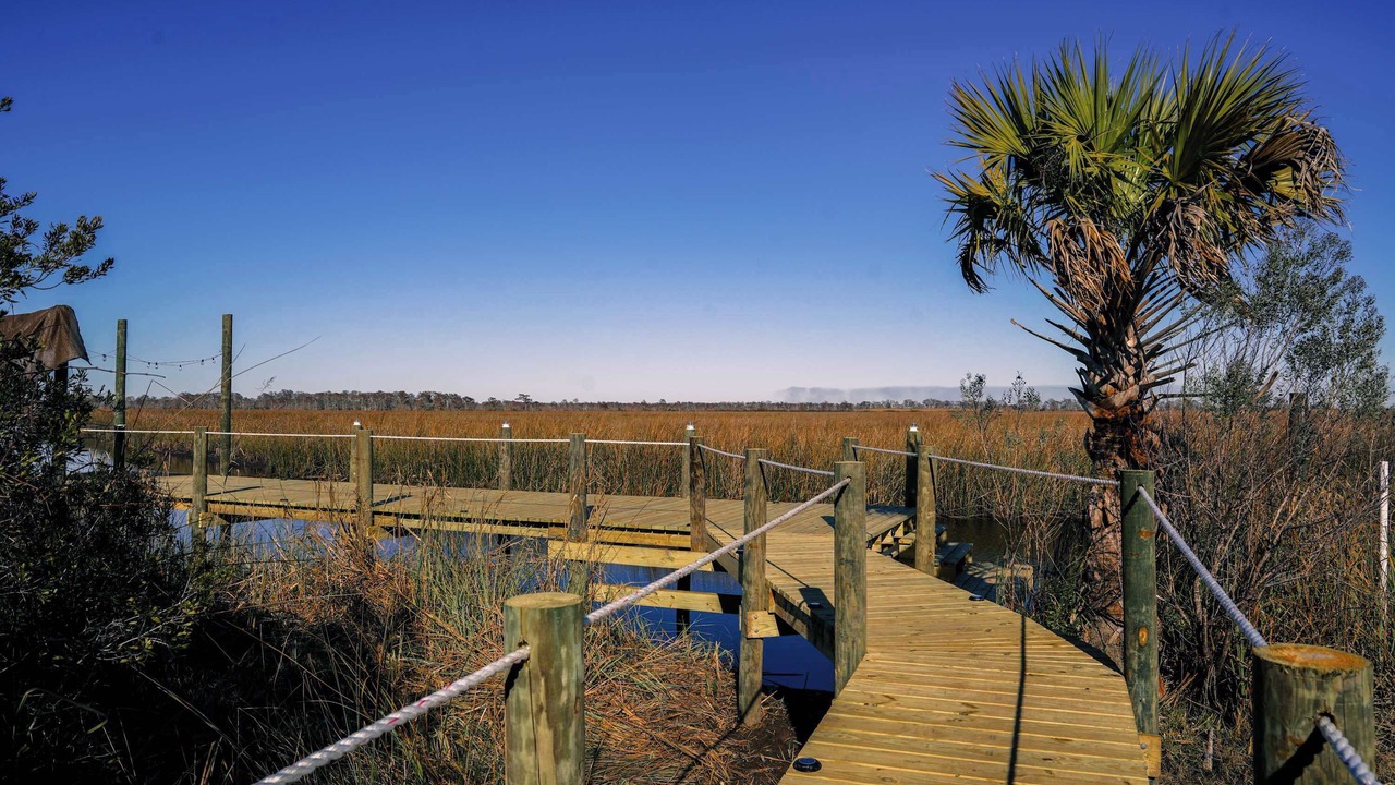 Photo of Others in Apalachicola
