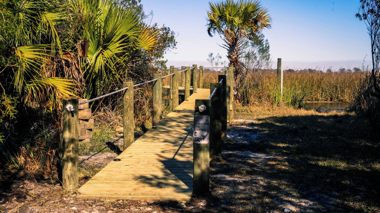Photo of Outdoor in Apalachicola