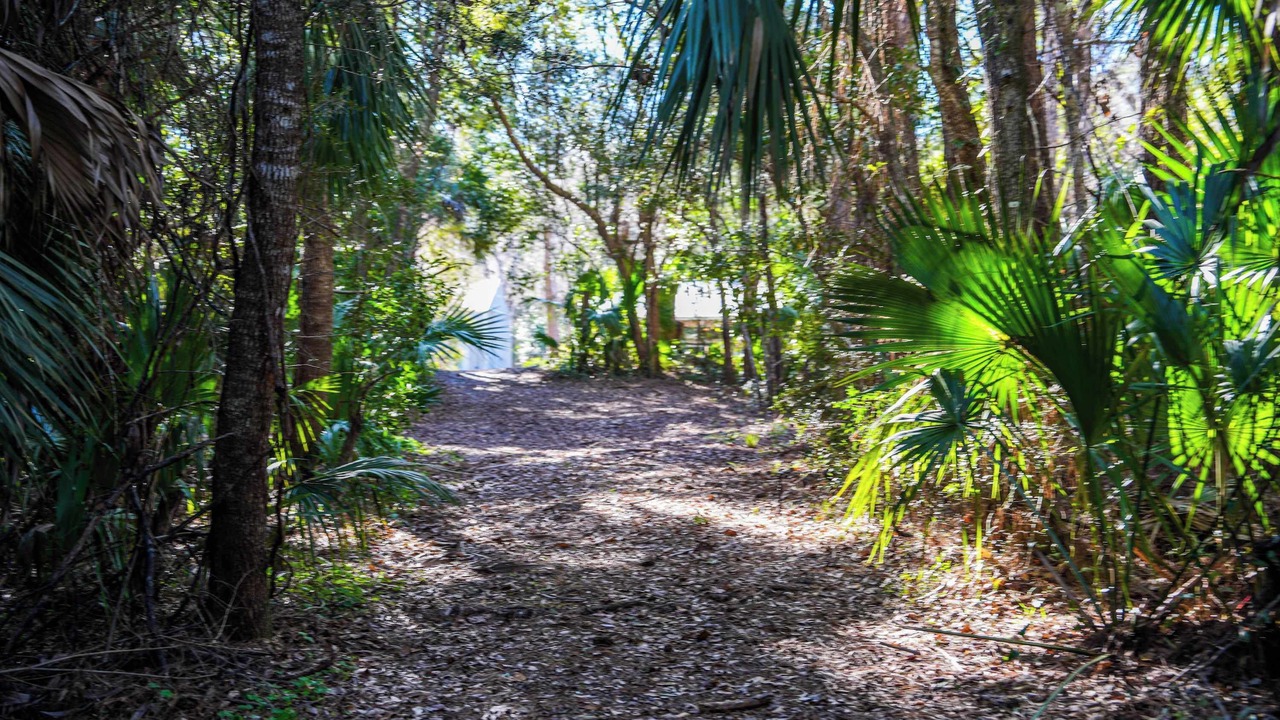Photo of Outdoor in Apalachicola