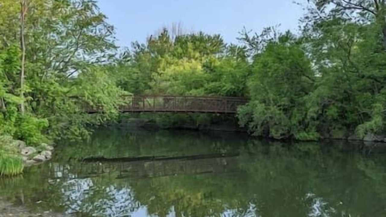 Photo of Others in Lakeview
