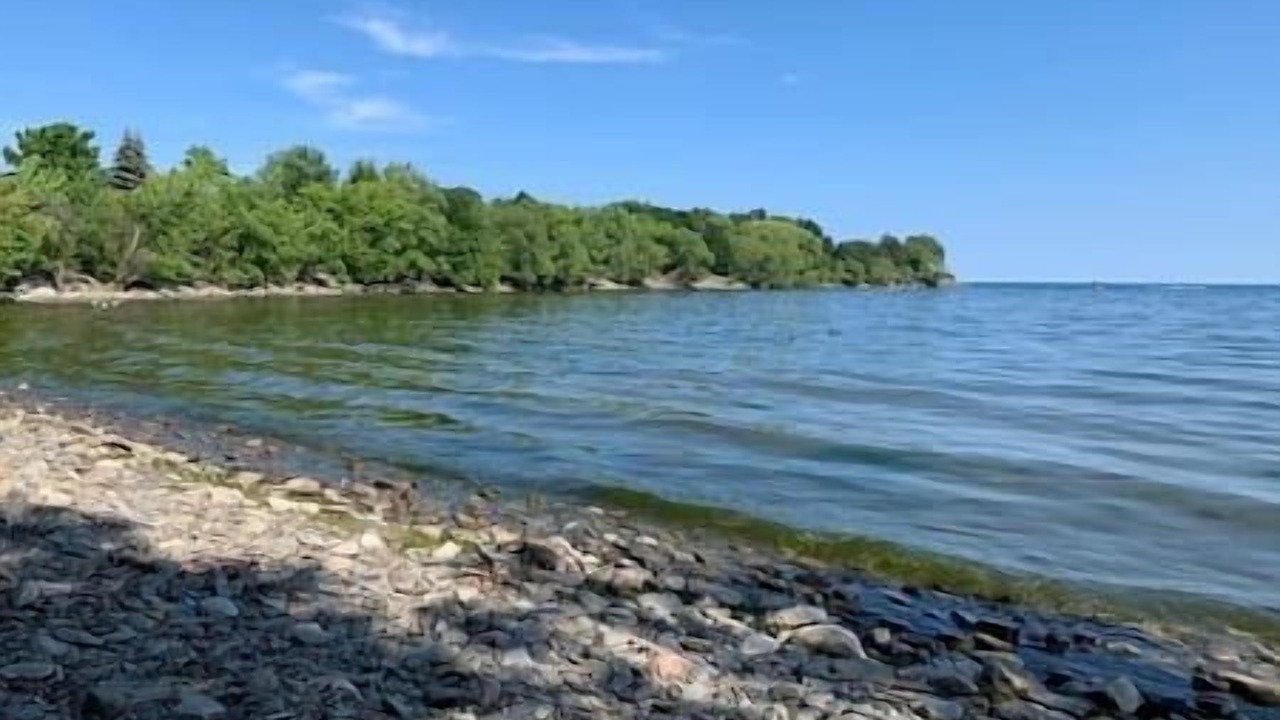 Photo of Others in Lakeview