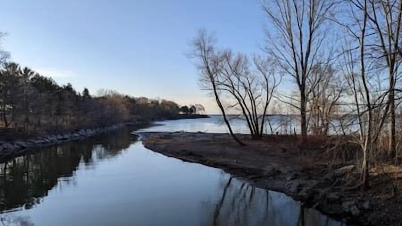 Photo of Others in Lakeview