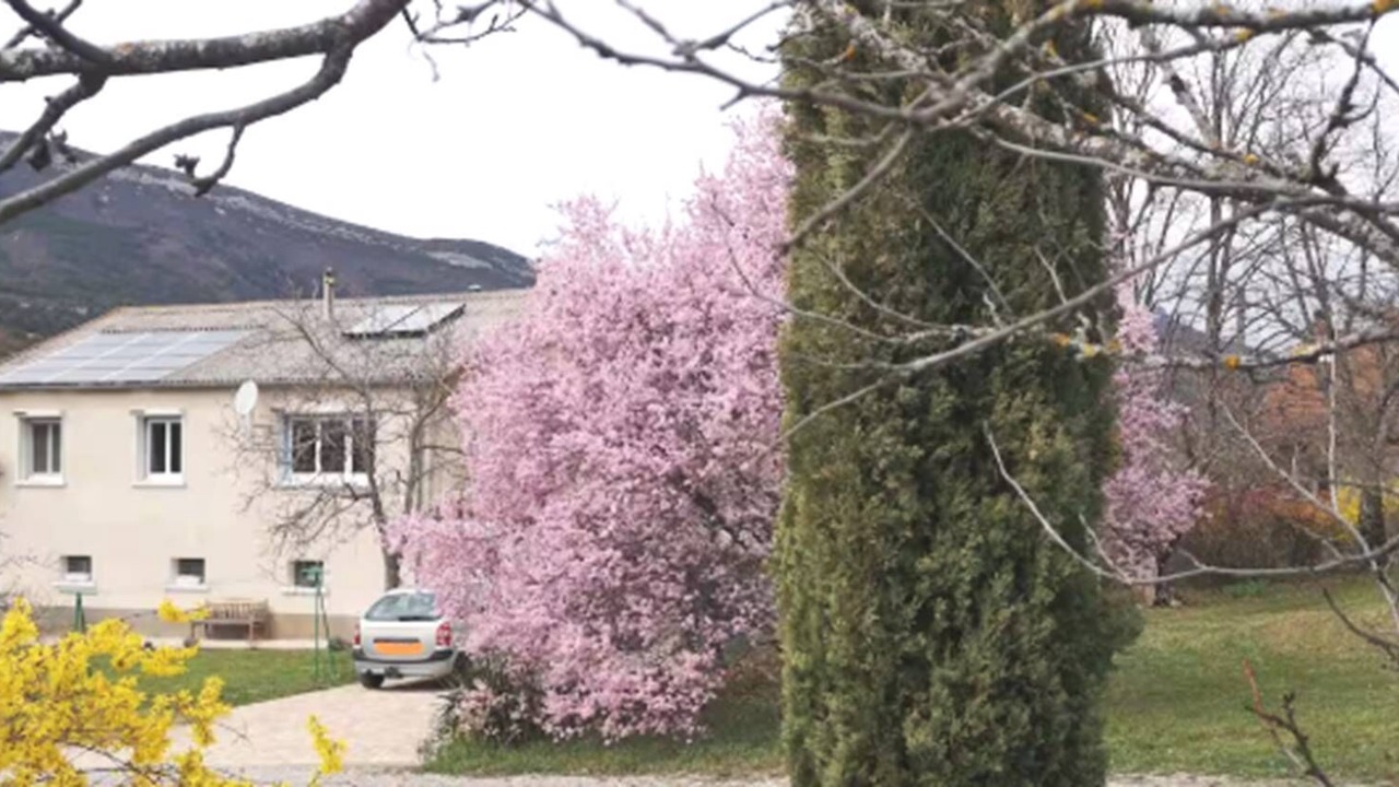 Photo of Outdoor in Serres