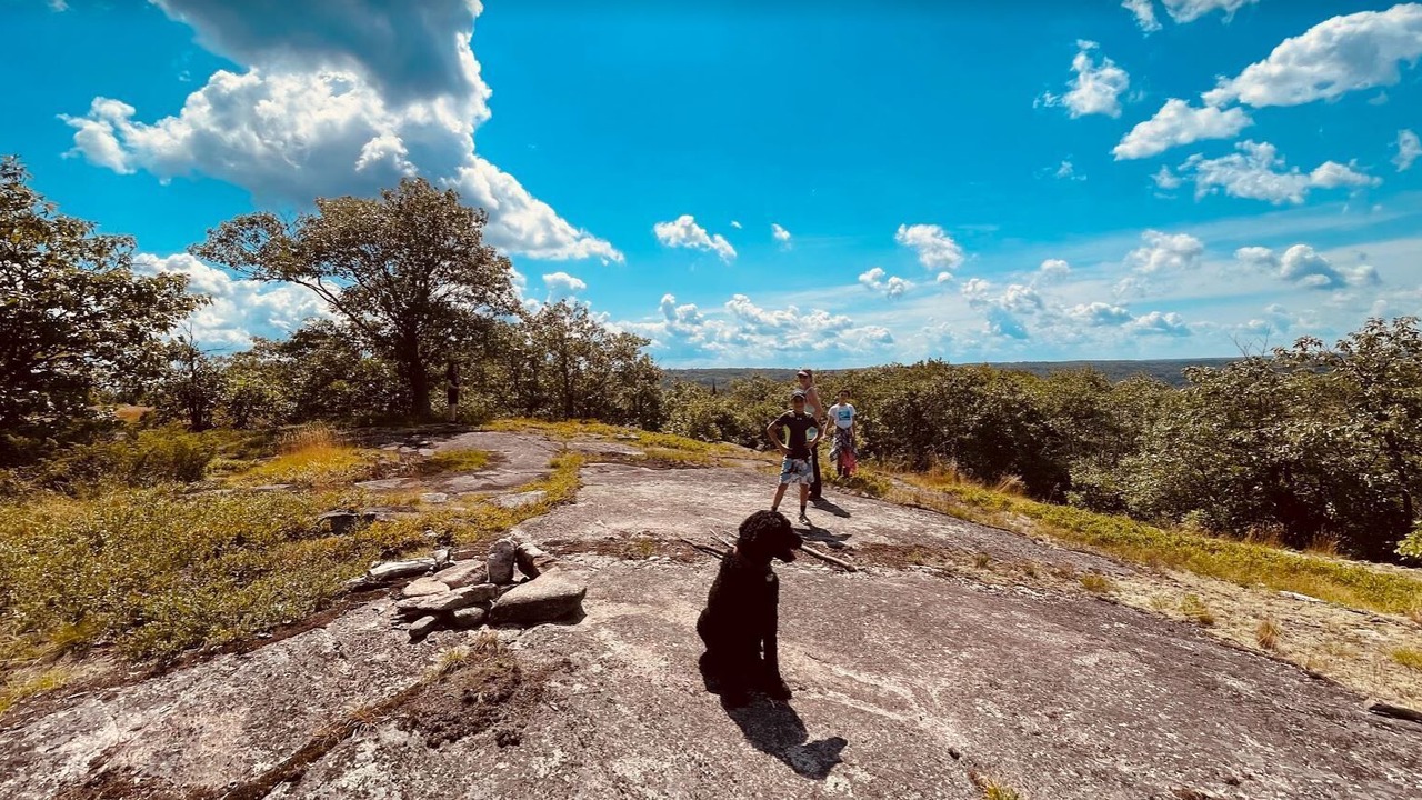 Photo of Others in Nipissing