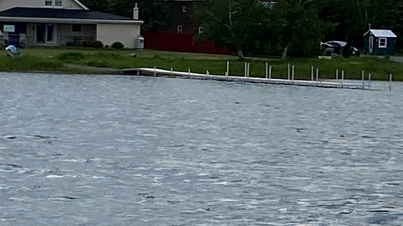 Photo of Others in Aroostook