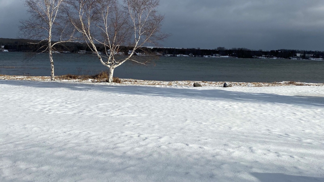 Photo of Others in Aroostook