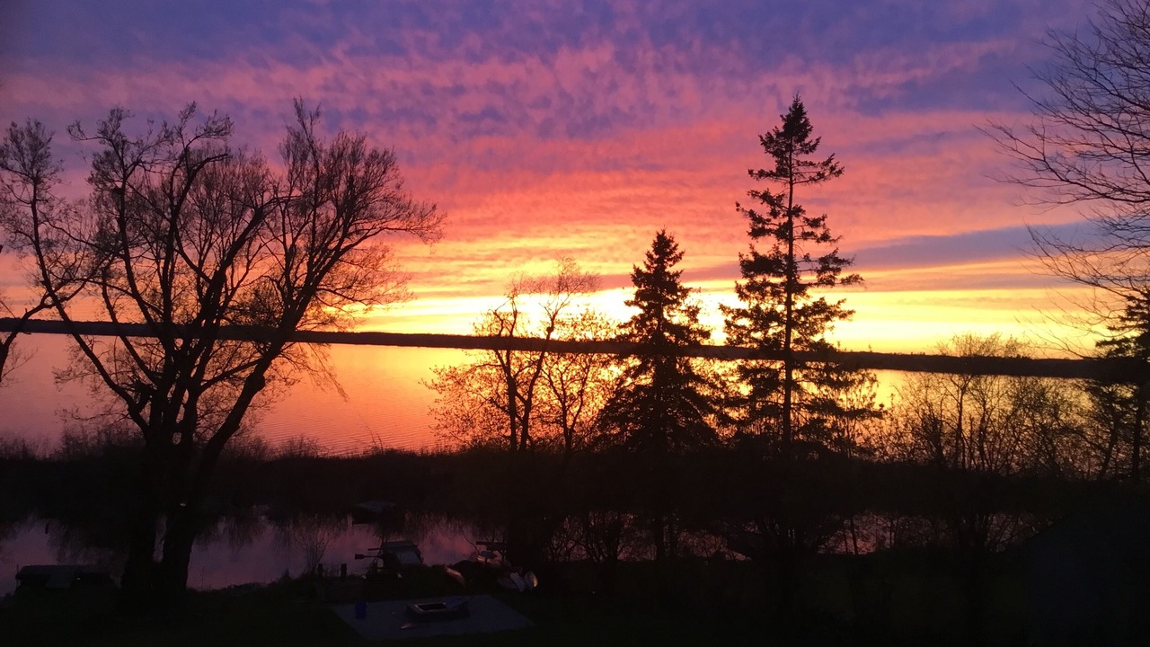 Photo of Others in Scugog