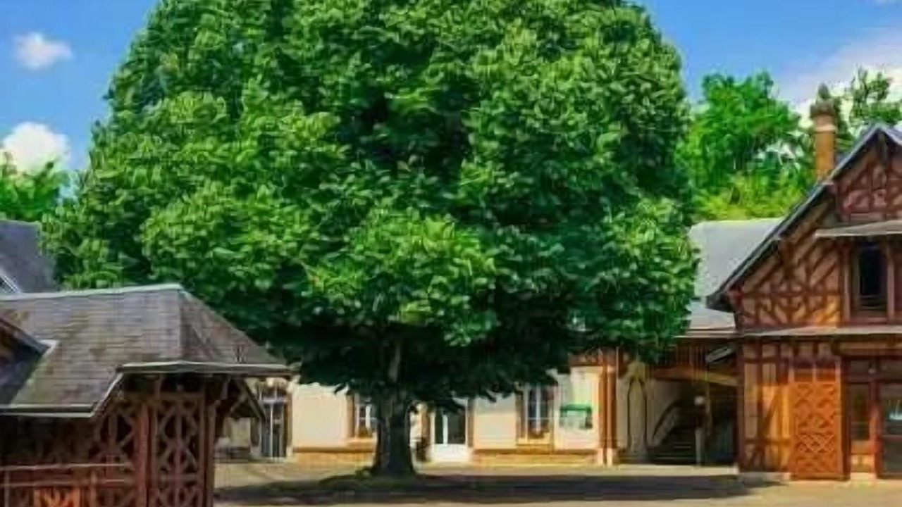Photo of Outdoor in Neuvy-sur-Barangeon