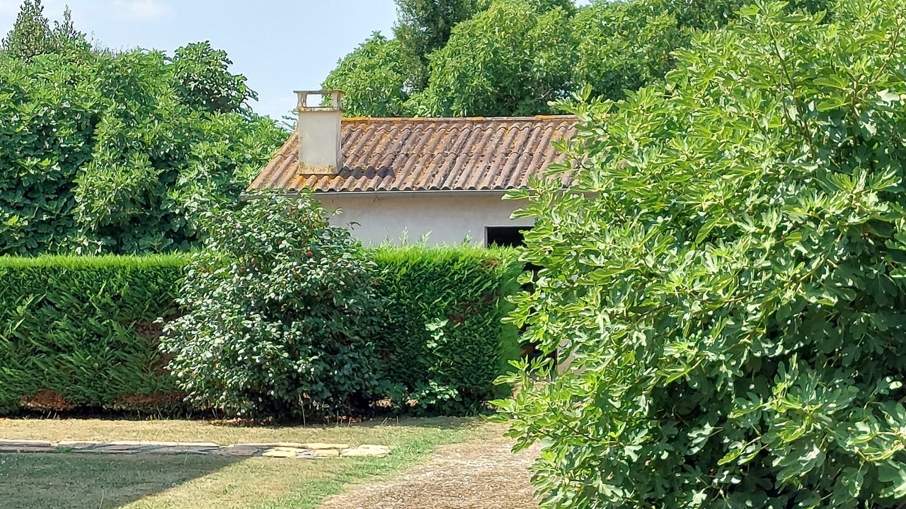 Photo of Outdoor in Dognen