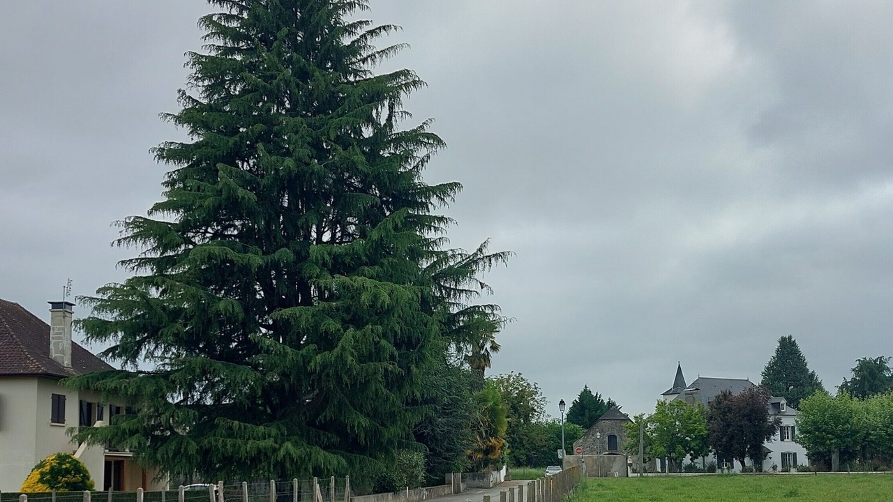 Photo of Outdoor in Dognen