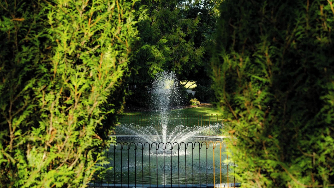 Photo of Outdoor in Falaise