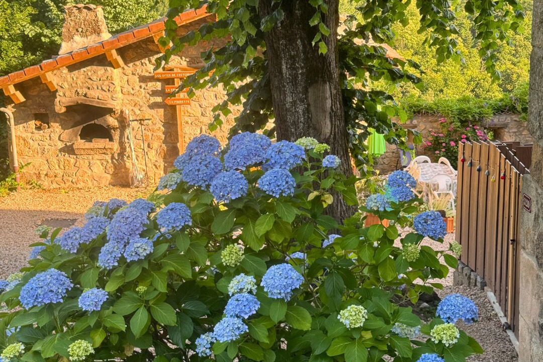 Photo of Outdoor in Nozieres